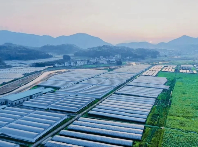 申請(qǐng)省級(jí)財(cái)政用于花卉企業(yè)設(shè)施大棚建設(shè)。福建省林業(yè)局供圖