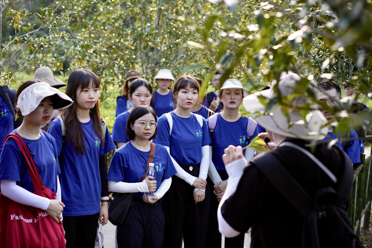 實(shí)踐隊(duì)師生深入了解燕子窠的種植模式