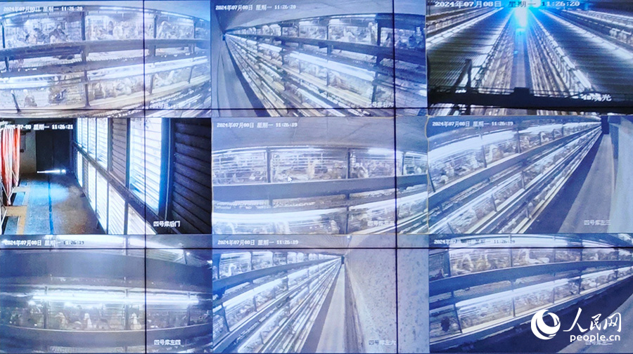 金蛋一期項目廠房的監(jiān)控大屏。人民網(wǎng) 黃東儀攝