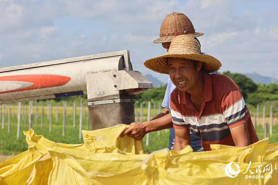 看著自家滿滿的糧袋，農(nóng)戶喜笑顏開。人民網(wǎng)記者 陳博攝