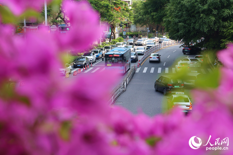 “空中花廊”下車水馬龍。人民網(wǎng)記者 陳博攝
