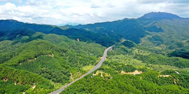 上杭白砂國有林場。郭亦斌攝