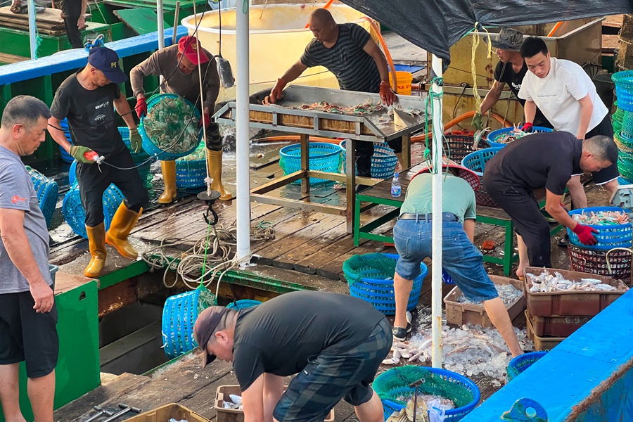 碼頭上，人們忙著搬運漁獲。