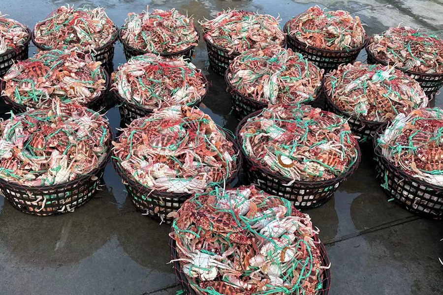 成筐的螃蟹。