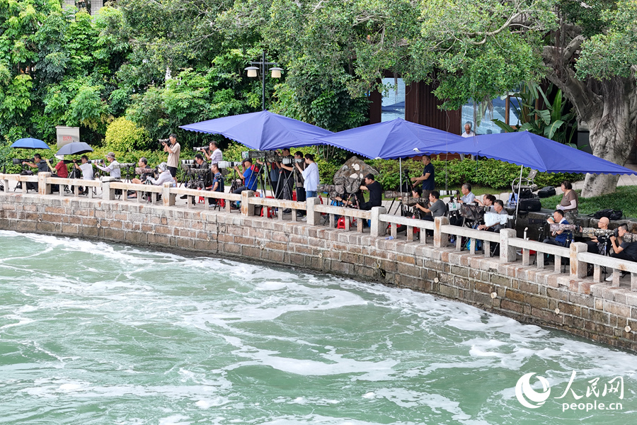 不少攝影愛好者前來一睹白鷺的靈動身姿。人民網(wǎng)記者 陳博攝