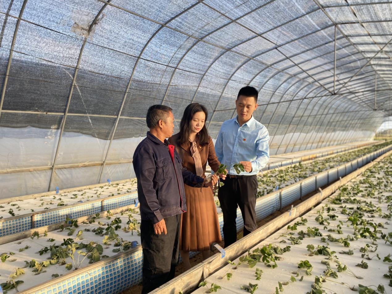 林雪梅走訪魏莊村“魚(yú)耕田”項(xiàng)目。福清市委組織部供圖