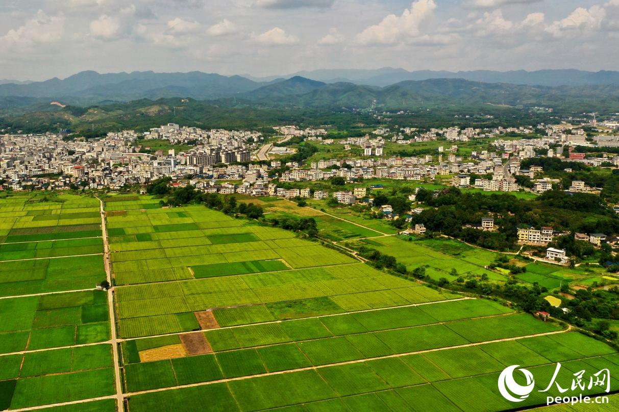 美麗田園提升村莊“顏值”。人民網(wǎng) 李唯一攝