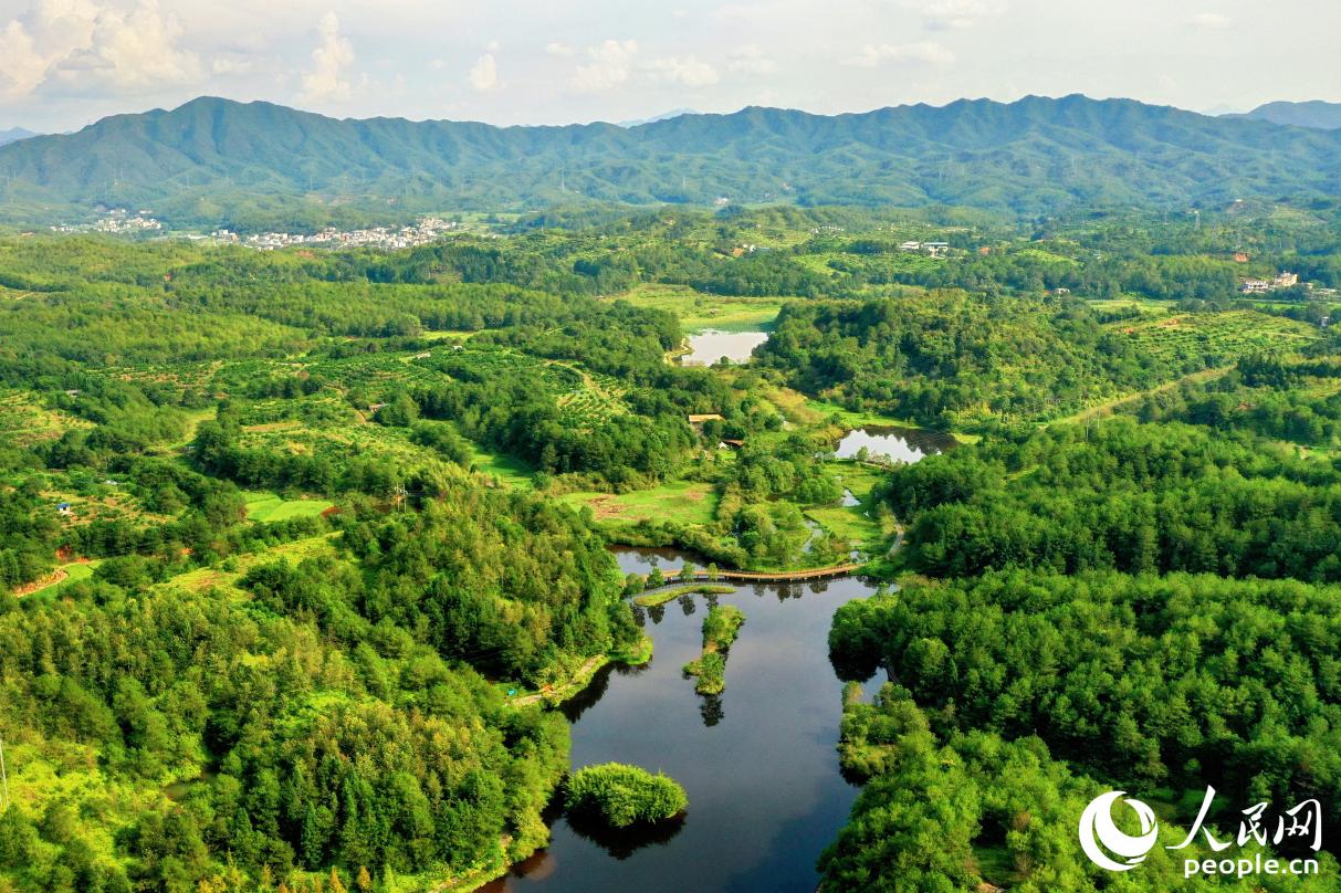 汀江國(guó)家濕地公園總面積590.9平方公里，是我國(guó)唯一的河岸濕地。人民網(wǎng) 李唯一攝