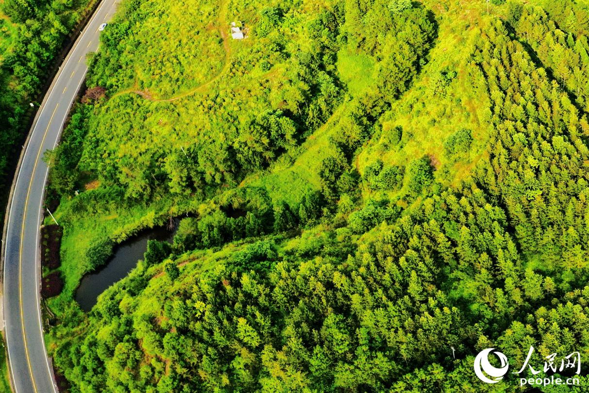經(jīng)過(guò)30多年的生態(tài)治理，汀江國(guó)家濕地公園已是水土流失治理“長(zhǎng)汀經(jīng)驗(yàn)”升級(jí)版的生動(dòng)展示。人民網(wǎng) 李唯一攝
