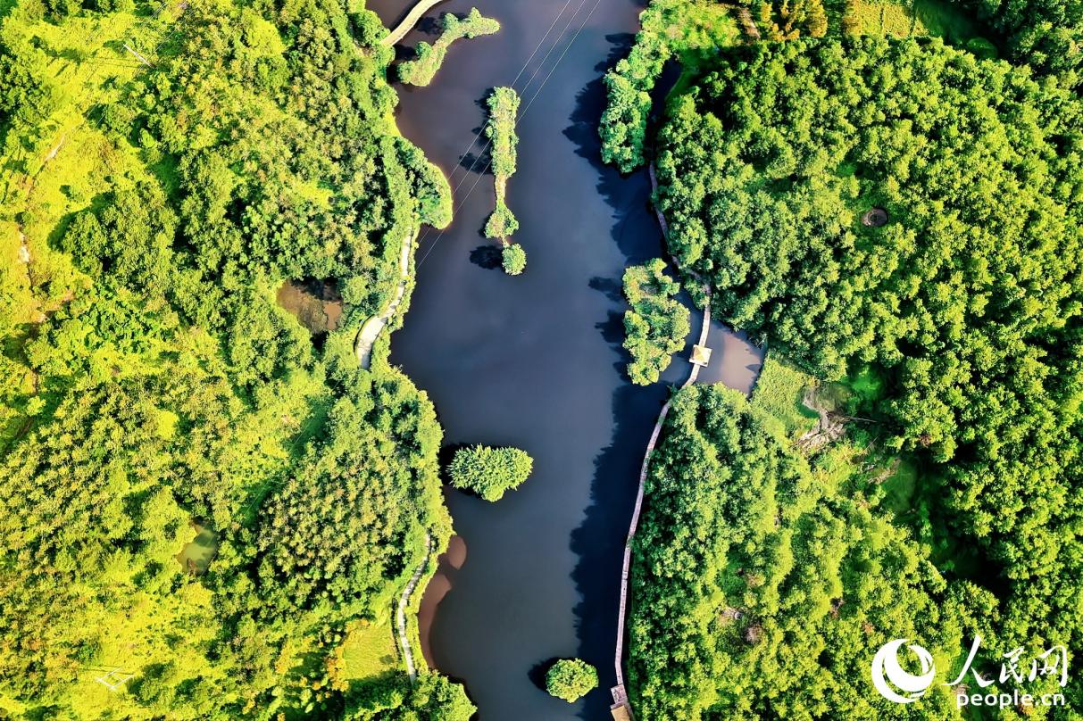 如今，汀江國(guó)家濕地公園實(shí)現(xiàn)了“火焰荒山－綠水青山－花果滿山—金山銀山”的歷史性轉(zhuǎn)變。人民網(wǎng) 李唯一攝