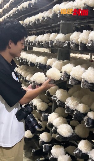 福建這里發(fā)展領(lǐng) “ 菌 ” 產(chǎn)業(yè)的競(jìng)爭(zhēng)力何在 ？