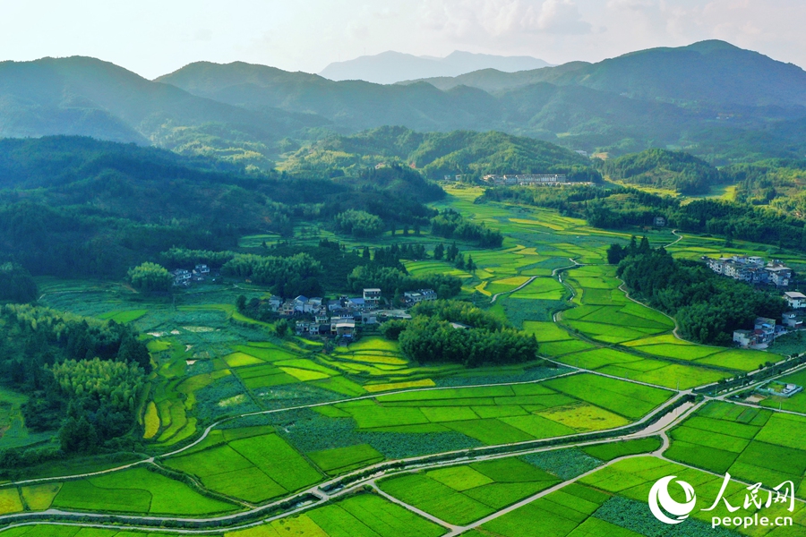 河龍鄉(xiāng)大洋梯田是河龍貢米核心產(chǎn)區(qū)。人民網(wǎng) 李唯一攝