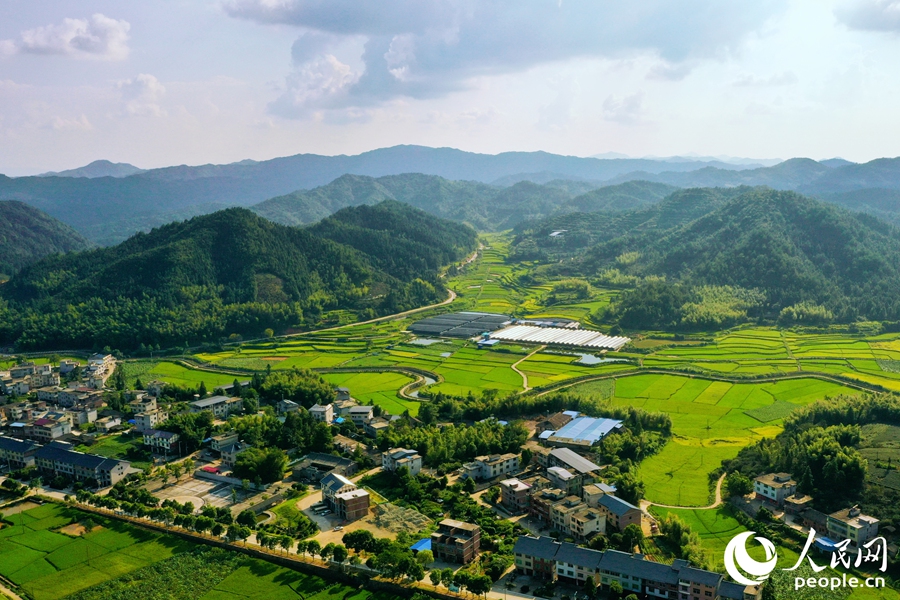 河龍鄉(xiāng)。人民網(wǎng) 李唯一攝