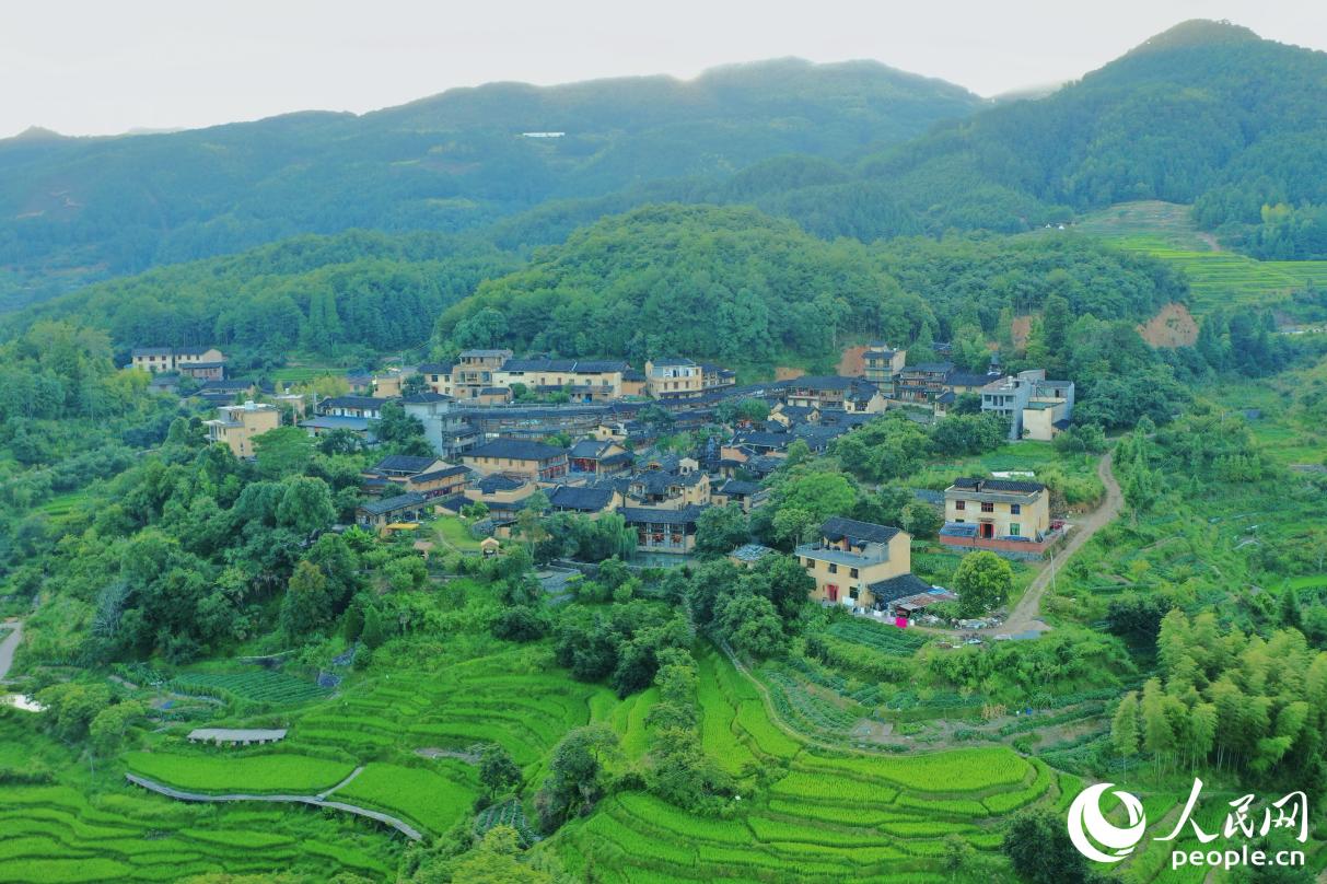 四坪村。人民網(wǎng)記者 蘭志飛攝