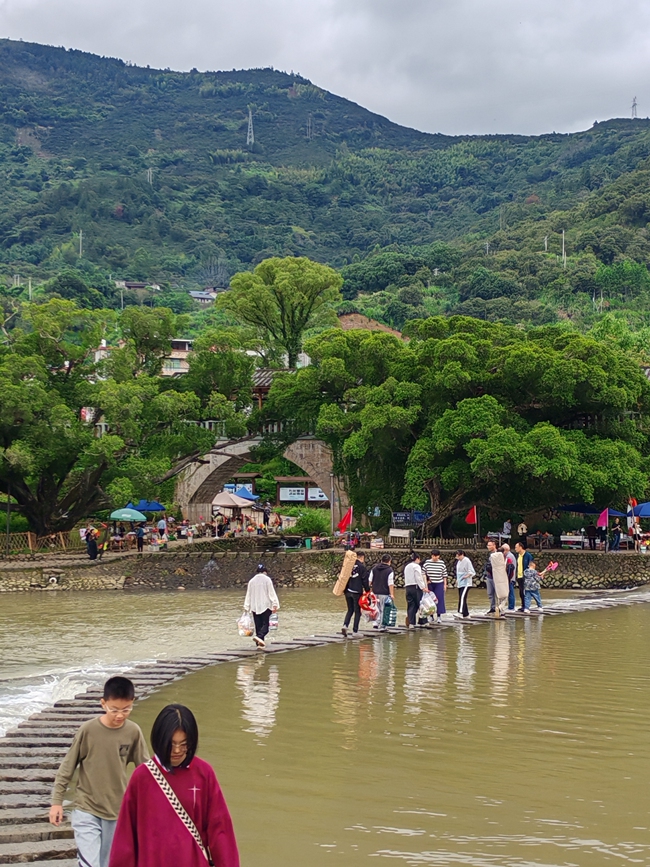 梧桐鎮(zhèn)榕水謠。陳秋聲攝