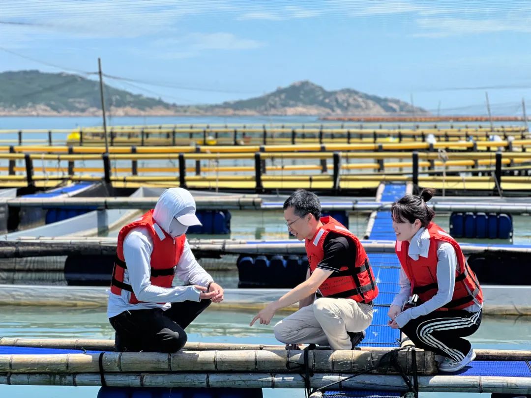 業(yè)務(wù)導(dǎo)師帶領(lǐng)沙埔鎮(zhèn)四寶村墩苗干部王曉敏（右）實地了解學(xué)習生蠔養(yǎng)殖模式、產(chǎn)業(yè)規(guī)模、生產(chǎn)周期等情況