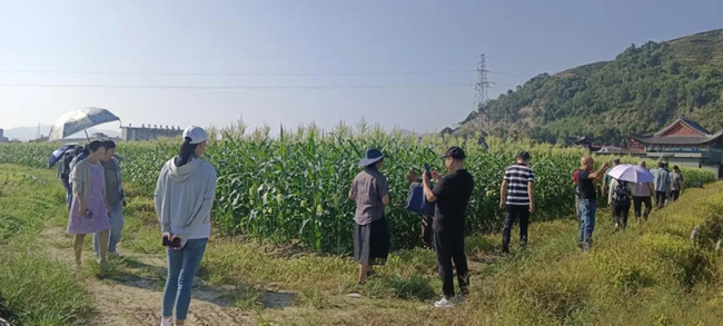 現(xiàn)場(chǎng)觀摩學(xué)習(xí)