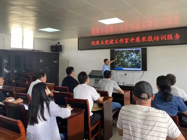 “銀發(fā)人才”提供培訓服務