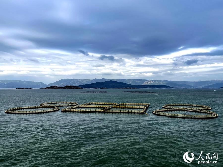 位于福州定海灣水域的成片漁排。人民網(wǎng) 謝星宇攝