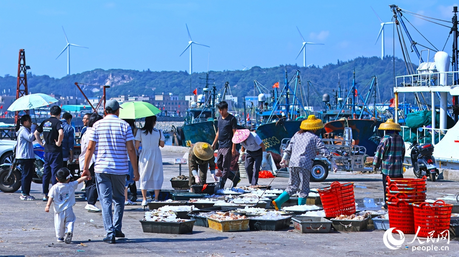 在東山縣澳角村，漁民在搬運(yùn)、分揀剛靠岸的海鮮。人民網(wǎng) 李昌乾攝