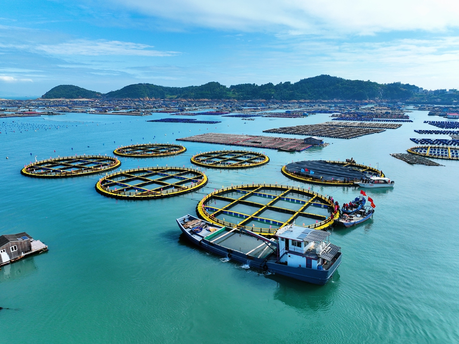 綠鰭馬面鲀養(yǎng)殖區(qū)域