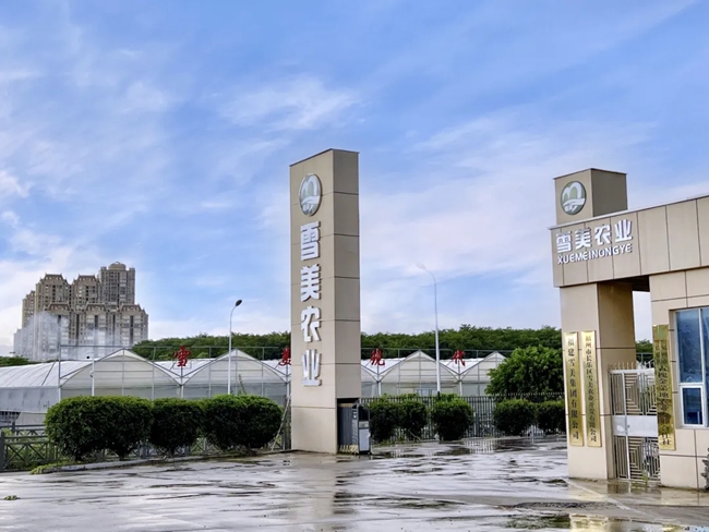 雪美農(nóng)業(yè)