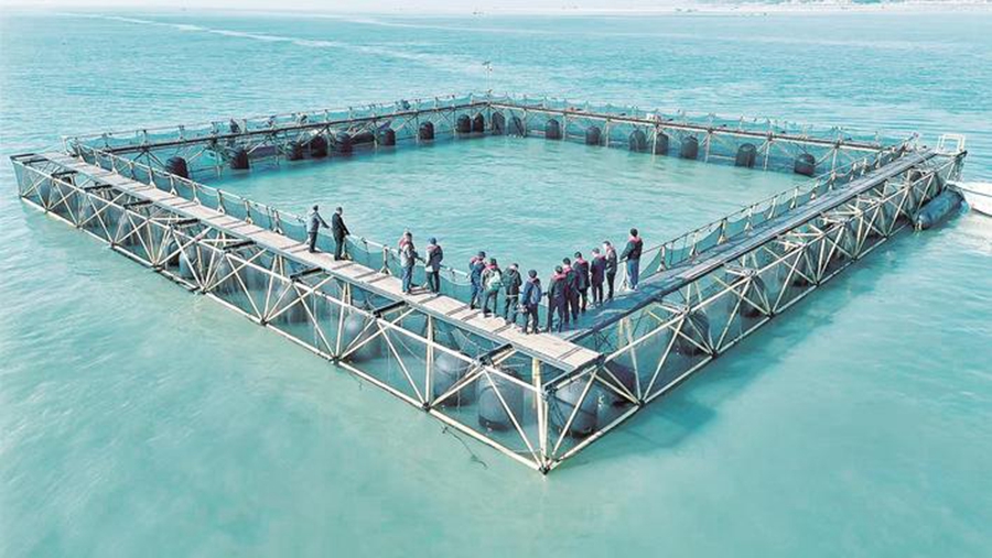 養(yǎng)殖網(wǎng)箱