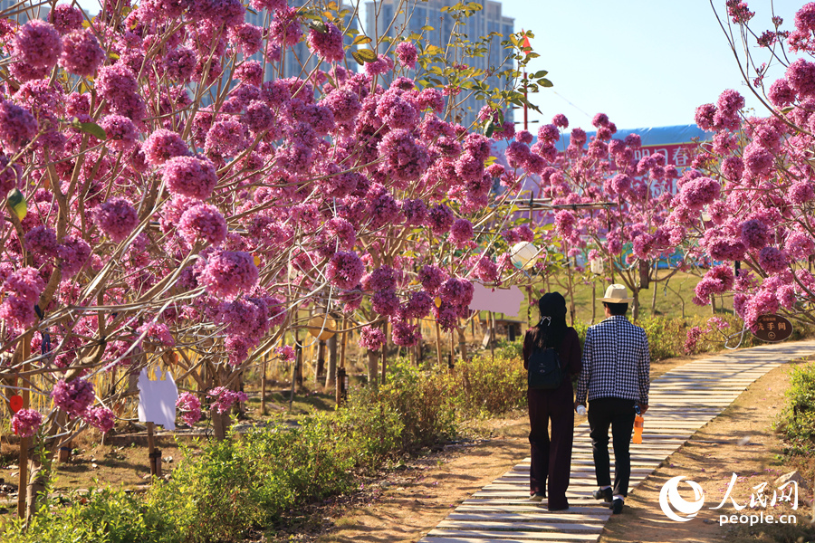 市民游客漫步花間小徑。人民網(wǎng)記者 陳博攝