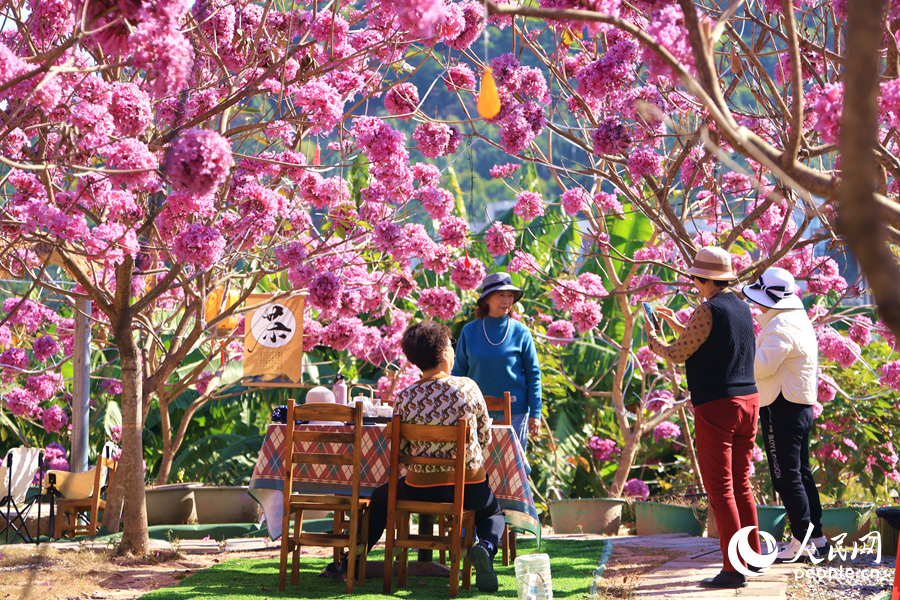 市民在花海中圍爐煮茶，享受午后時(shí)光。人民網(wǎng)記者 陳博攝