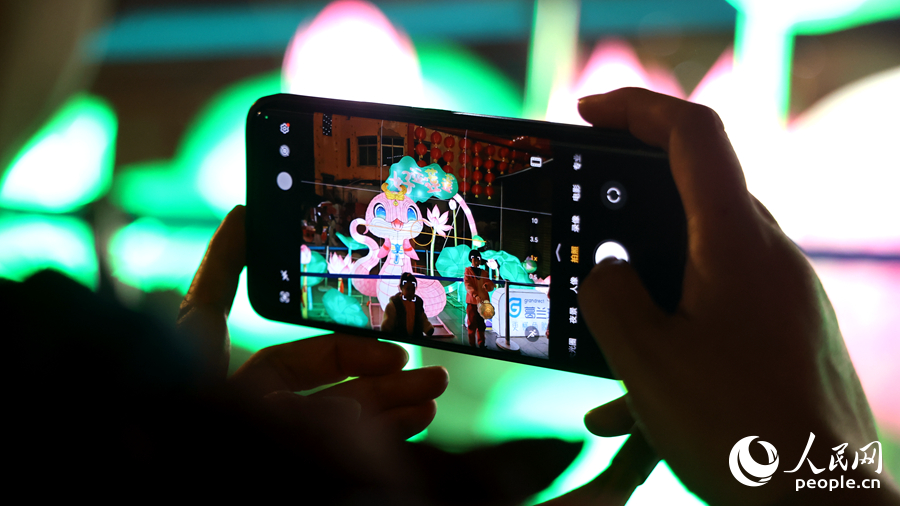 蛇年生肖造型花燈“人氣旺”。人民網(wǎng)記者 陳博攝