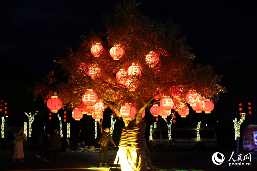 “祈福樹”上掛滿不同姓氏的燈籠。人民網(wǎng)記者 劉卿攝