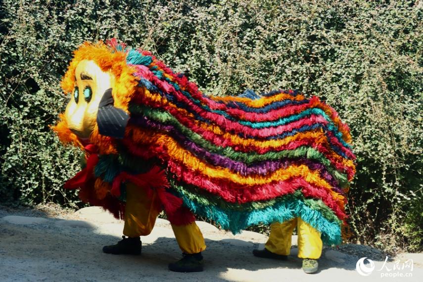 肥獅的毛取自樹皮，染以各色顏料，顏色較為鮮艷奪目。人民網(wǎng)記者 陳藍燕攝