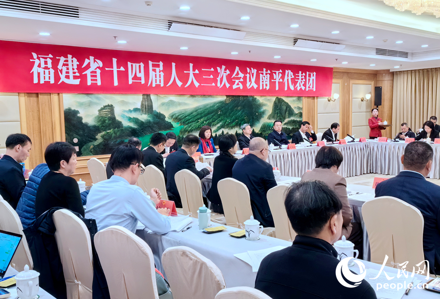 南平代表團(tuán)分組審議現(xiàn)場(chǎng)。人民網(wǎng)記者 林曉麗攝