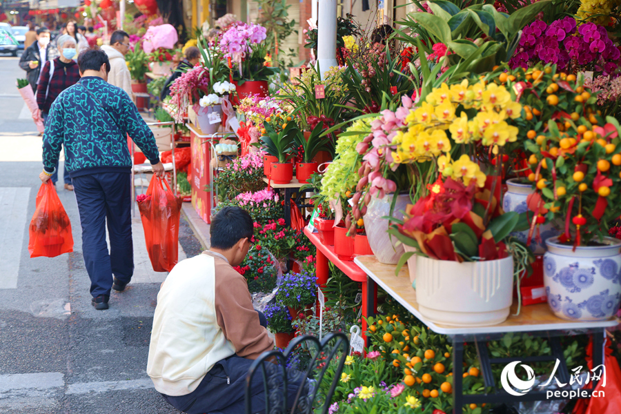 種類齊全的鮮花在街道兩側(cè)爭奇斗艷，生機(jī)盎然。人民網(wǎng)記者 陳博攝