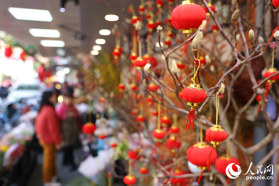 沿街商鋪掛起燈籠，年味十足。人民網(wǎng)記者 陳博攝