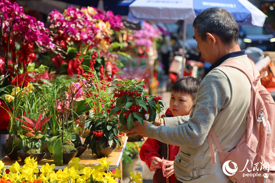 手中攥著零花錢的小男孩，在街邊精心挑選新年盆景。人民網(wǎng)記者 陳博攝