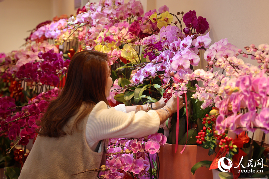 商家細(xì)心地為蝴蝶蘭系上彩帶。人民網(wǎng)記者 陳博攝