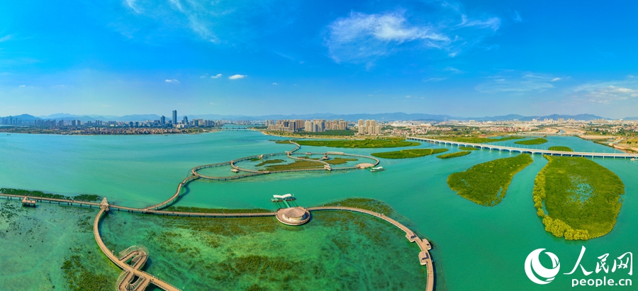同安灣下潭尾紅樹林公園，是最大的人工重構(gòu)紅樹林主題生態(tài)公園和海洋科普宣傳基地。人民網(wǎng)記者 陳博攝