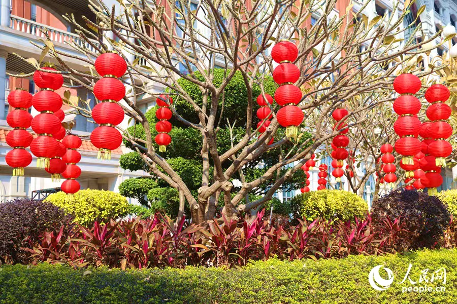 集美新城市民廣場上，成串紅燈籠隨風(fēng)搖動，新年氛圍拉滿。人民網(wǎng)記者 陳博攝
