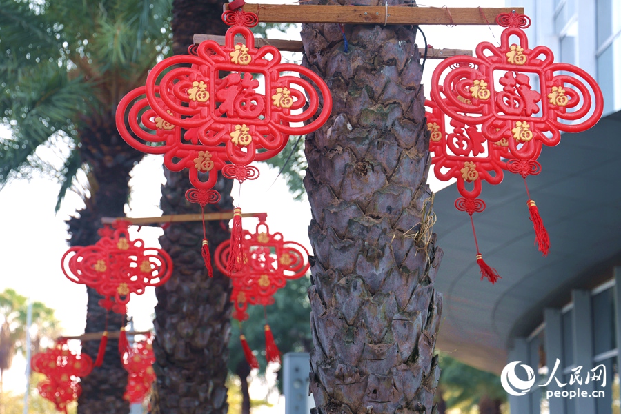 杏林灣路幸福中國結(jié)。人民網(wǎng)記者 陳博攝