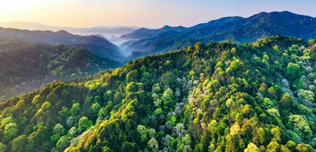 汀江源國家級自然保護區(qū)