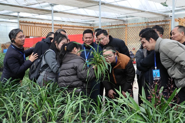 現(xiàn)場(chǎng)參觀學(xué)習(xí)。永定區(qū)委組織部供圖