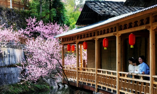 純池鎮(zhèn)桃坑村。魏孫亮攝