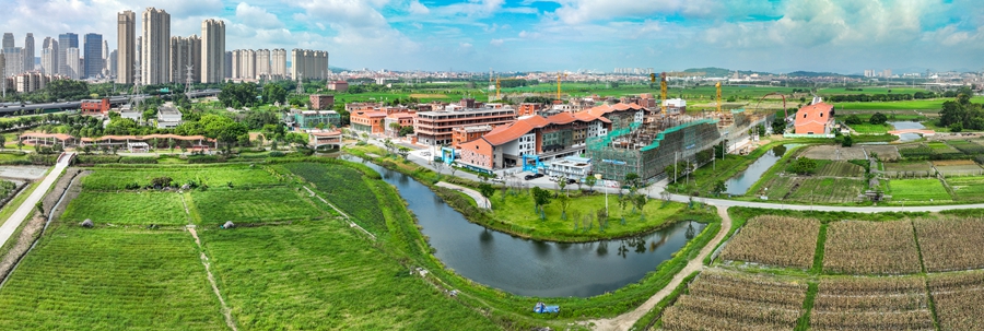 晉江九十九溪流域田園風(fēng)光。劉翼攝