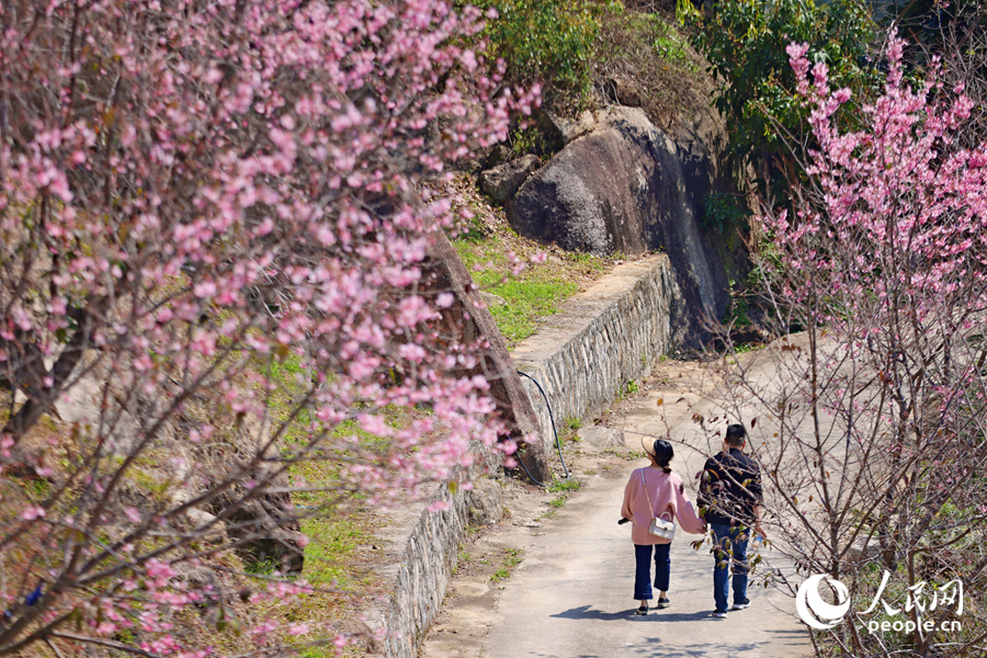 市民游客漫步在花園小徑。人民網(wǎng)記者 陳博攝