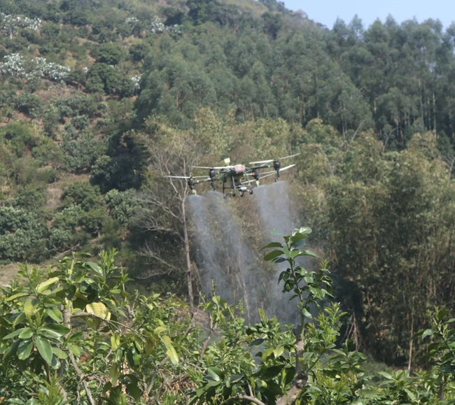 無人機(jī)噴灑施肥