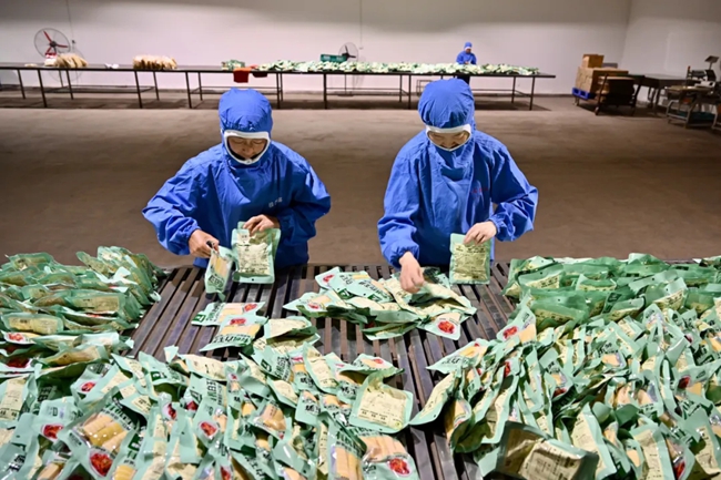 竹筍產(chǎn)品生產(chǎn)線。姜克紅攝