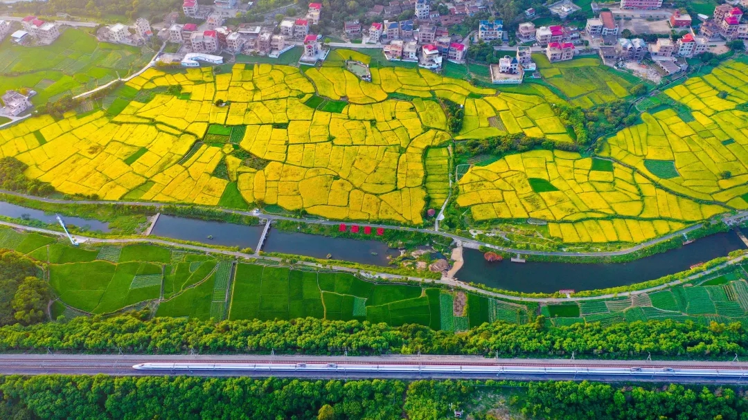 打造高標準農(nóng)田