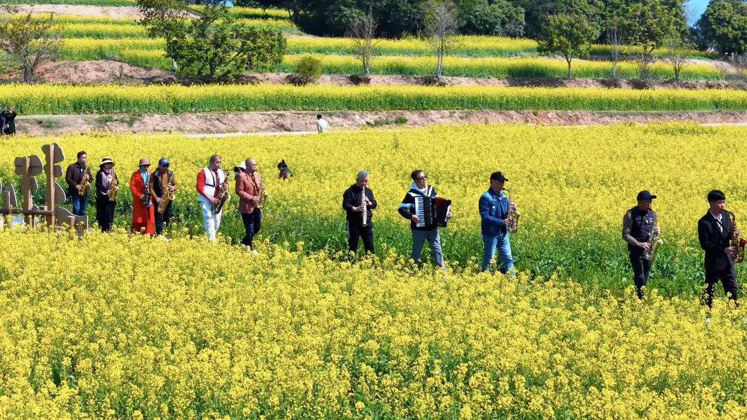 創(chuàng)新花海場(chǎng)景，讓惠安文旅“出圈”