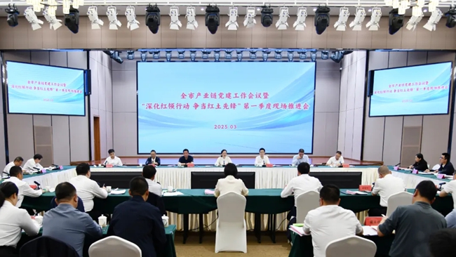 會議現(xiàn)場。武平縣委組織部供圖